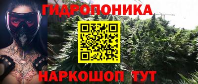 альфа пвп Гусев